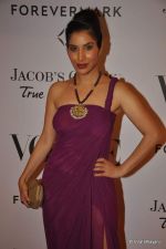 Sophie Chaudhary at Vogue_s 5th Anniversary bash in Trident, Mumbai on 22nd Sept 2012 (124).JPG